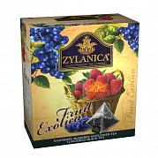 Чай в пакетиках Zylanica пирамидки Fruit Exotica, 20 пак.*2 гр