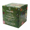 Чай зеленый в пакетиках Gutenberg Те Гуаньинь, 12 шт